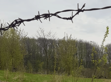 this mass shooting site in lysynychi near lviv has been forgotten by ukrainians - lviv holocaust tour and research